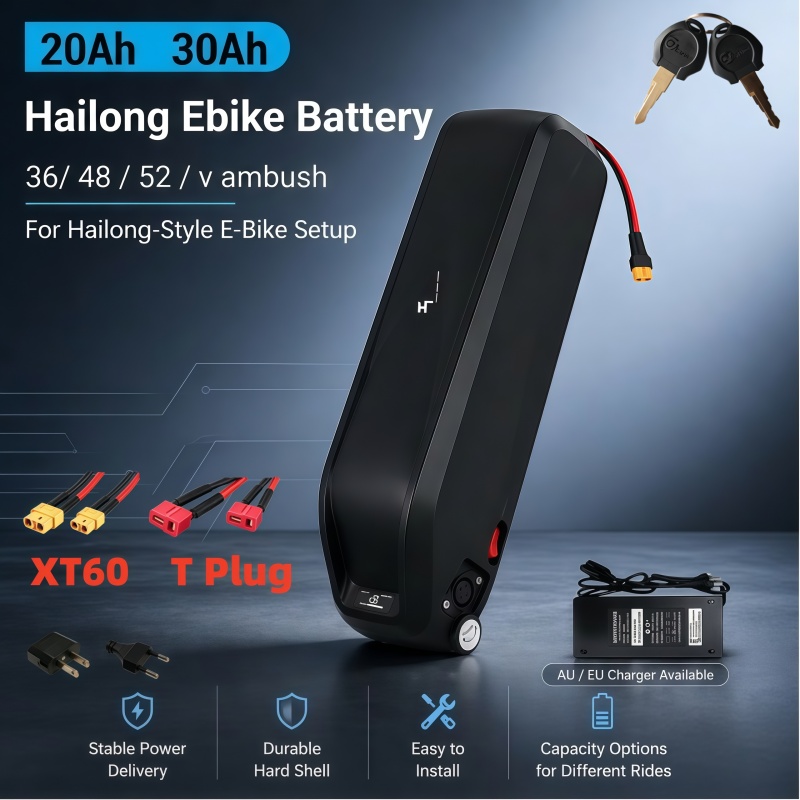 Ebike Battery 48V 20Ah Hailong - Versatile Hailong Battery, Multi Voltage 36V