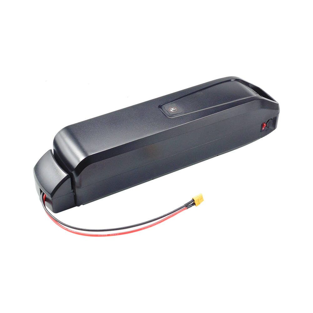 New S20 Pro 48V 13Ah 20Ah Hail - Ebike Battery 48V 20Ah Hailong recension och pris